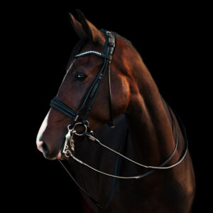 Utzon Equestrian Edinburgh Double Bridle