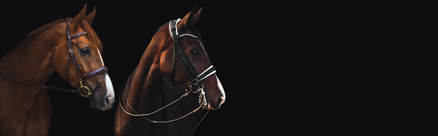 Royal Equestrian - The equine shopping experience