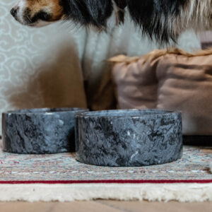 Dog Bowls