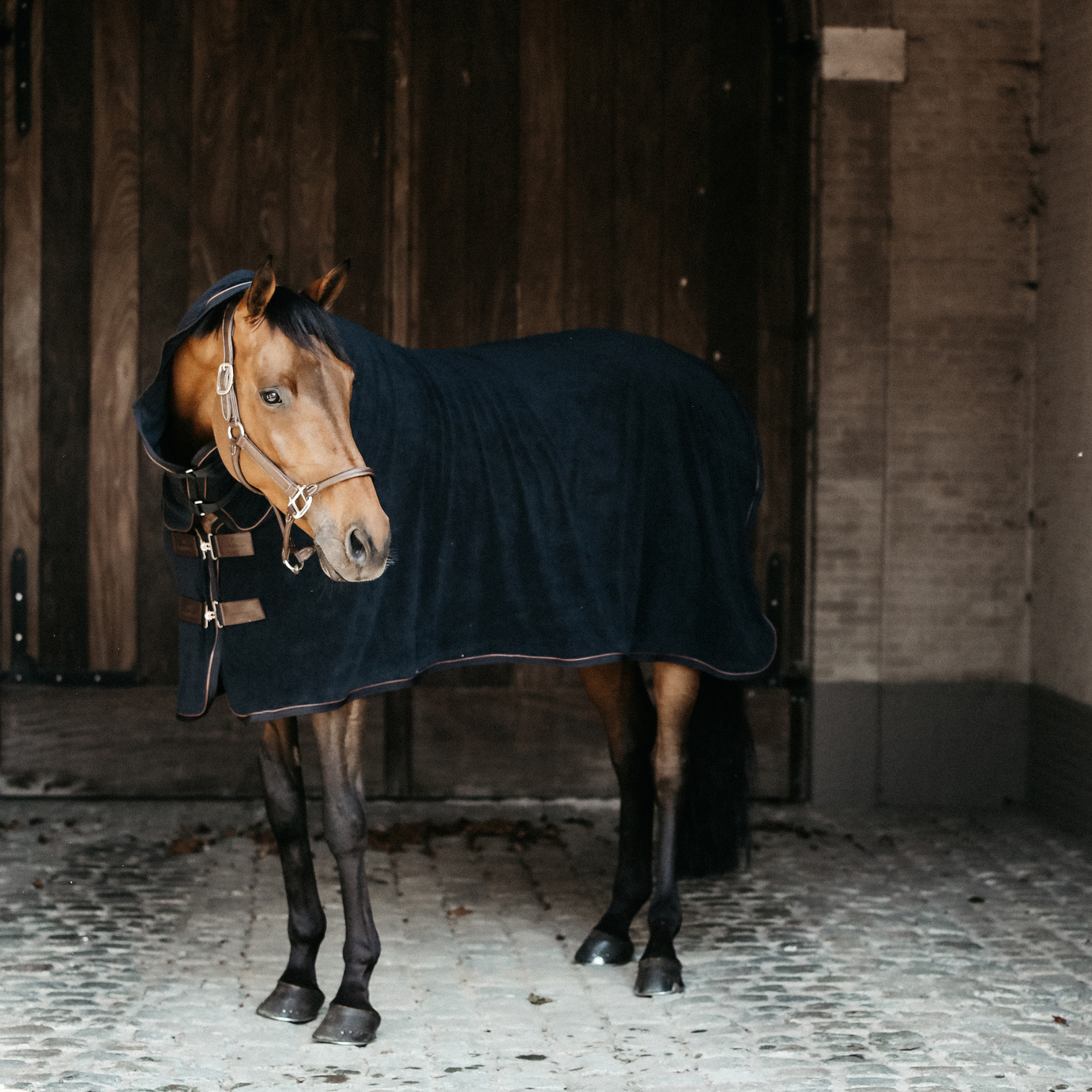 Kentucky Towel Rug - Image 2