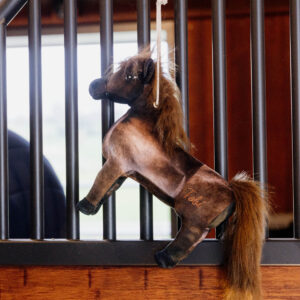 Kentucky Horse Toy Tableux