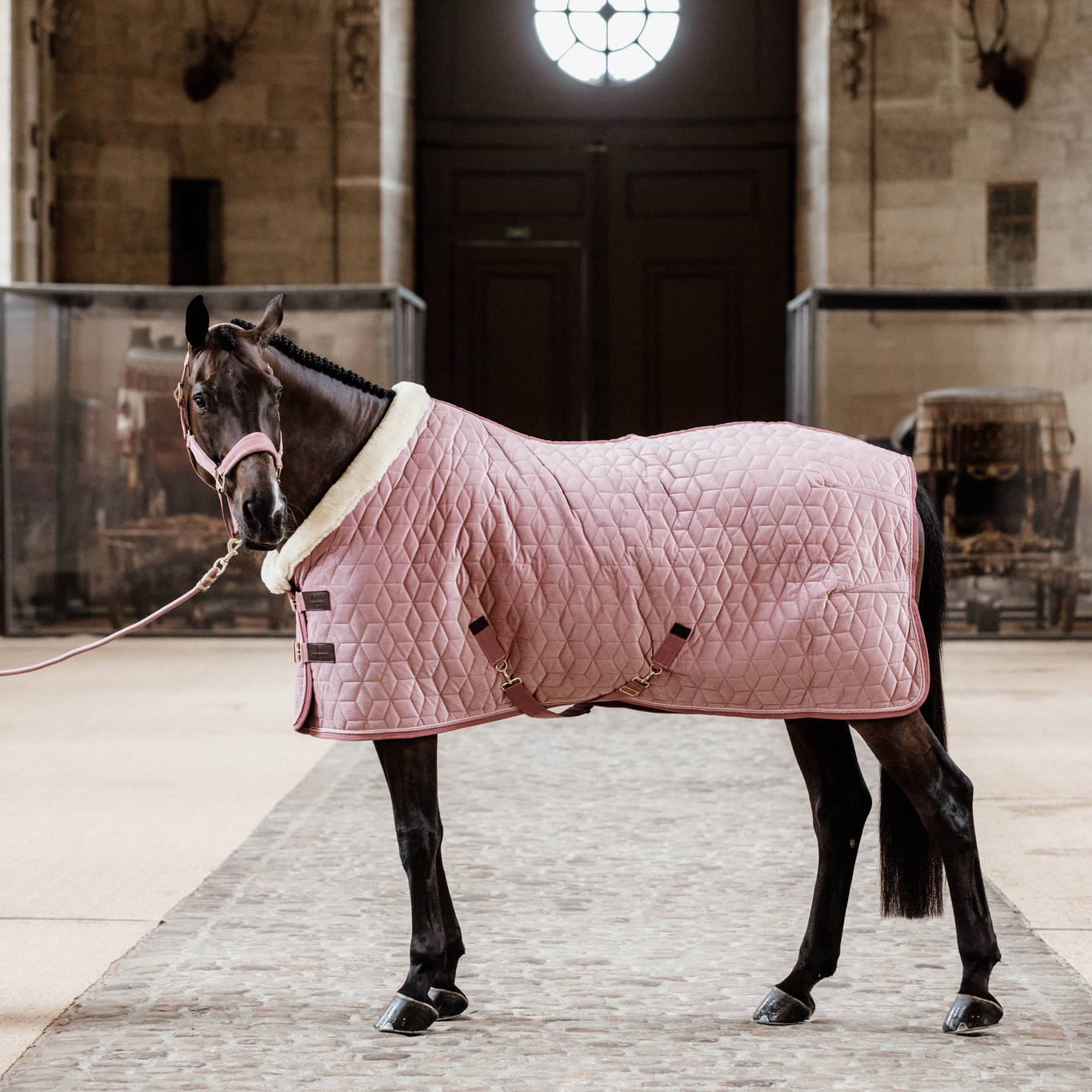 Kentucky Velvet Show Rug - Image 4