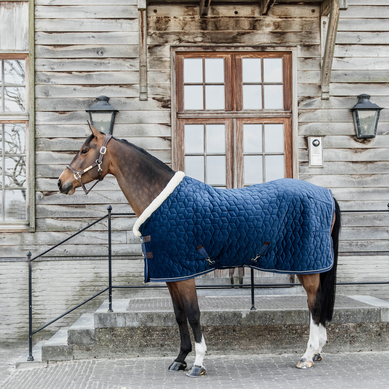 Kentucky Velvet Show Rug - Image 3