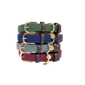 Kentucky Plaited Nylon Dog Collar