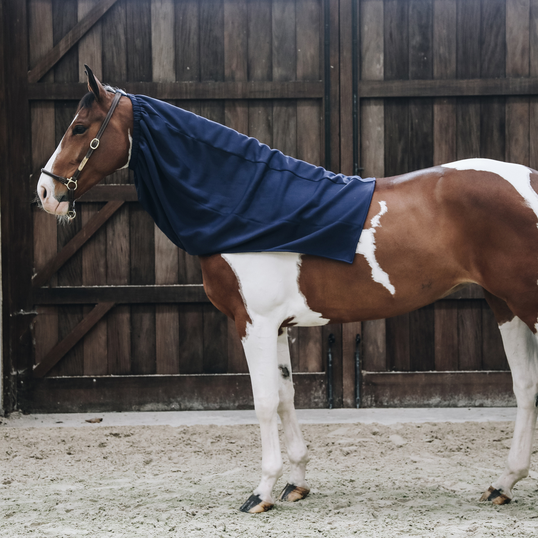 Kentucky Cooler Fleece Horse Scarf - Image 3