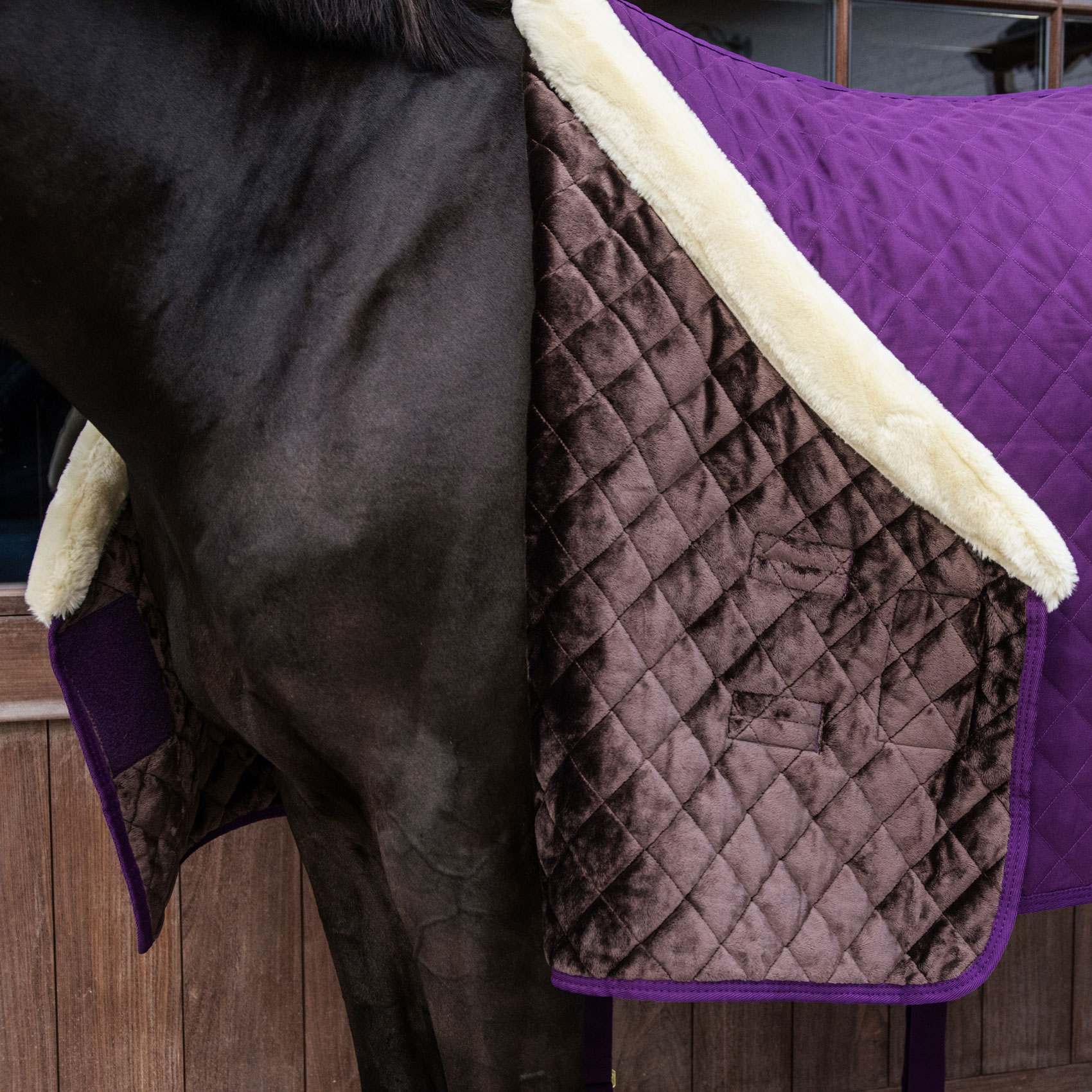 Kentucky Show Rug - Royal Purple - Image 3