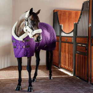 Kentucky Show Rug - Royal Purple