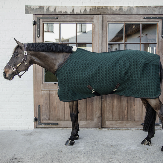 Kentucky 4D Spacer Cooler Sheet - Pine Green