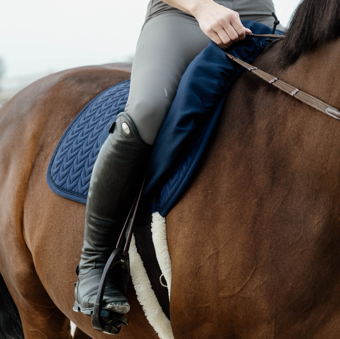Kentucky Waterproof Saddle Cover - Image 4