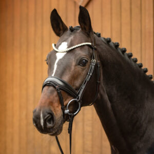 Passier Ingrid Klimke Favorite Snaffle Bridle with Rubber Reins