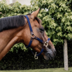 Kentucky Plaited Nylon Halter