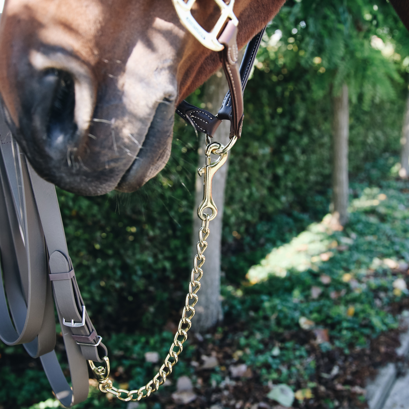 Kentucky Stallion Chain - Image 2