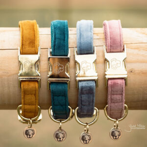 Kentucky Velvet Dog Collar