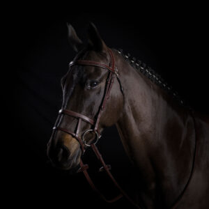 Equiline Double Noseband Bridle