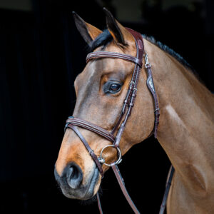Equiline Fancy Stitching Snaffle Bridle