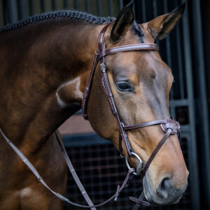Equiline Grackle Bridle