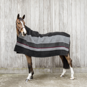 Kentucky Striped Heavy Fleece Rug