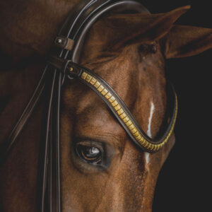 Utzon Clincher Browband
