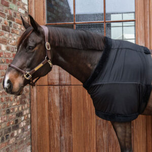 Kentucky Chest Protection