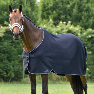 Equiline Climate Control Walking Rug
