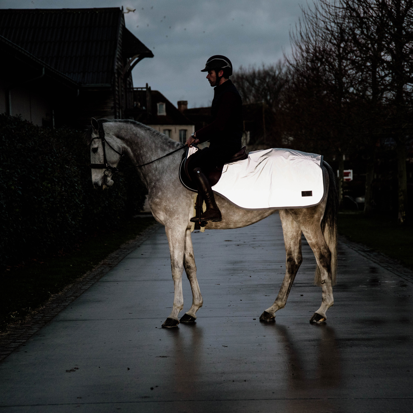 Kentucky Reflective Riding Rug - Image 4