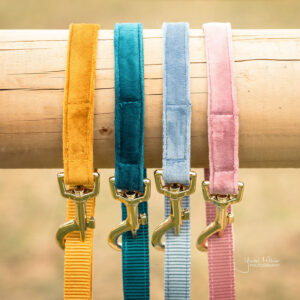 Kentucky Velvet Dog Lead - 120cm