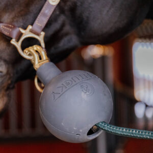 Kentucky Rubber Ball Lead & Wall Protection