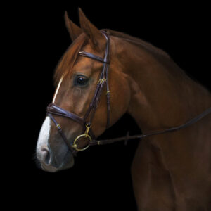 Utzon Equestrian Belmond Snaffle Bridle