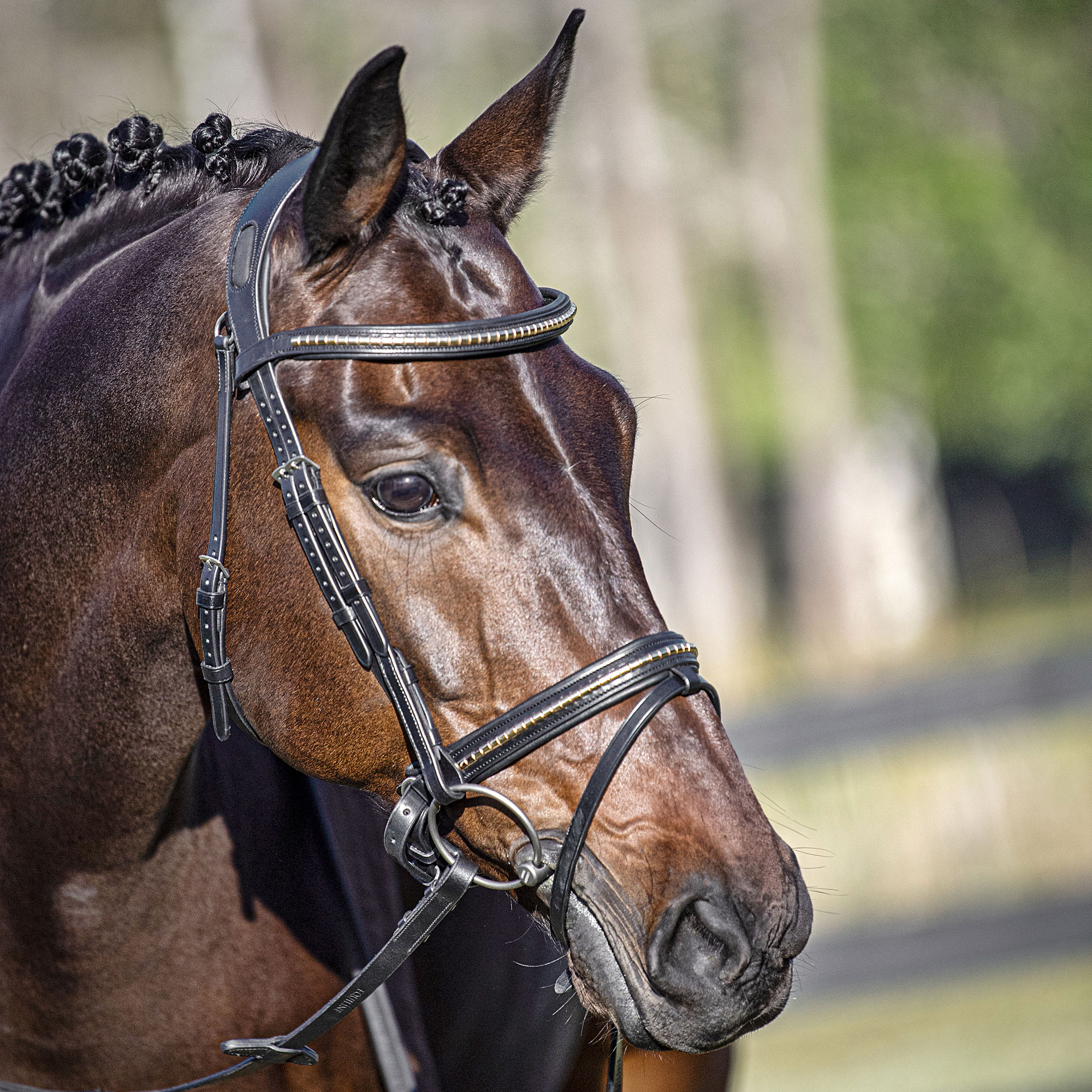Equiline Anatomic Metal Clincher Flash Bridle