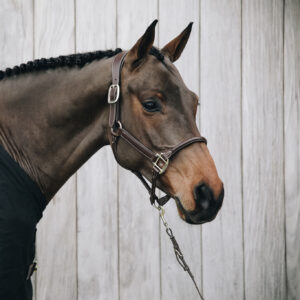 Kentucky Leather Anatomical Halter