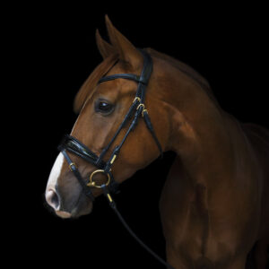Utzon Equestrian Copenhagen Bridle
