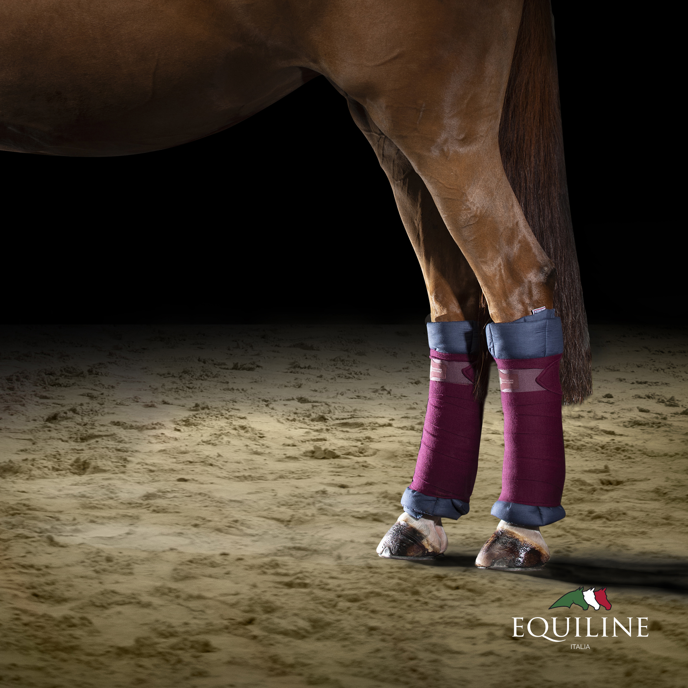 Equiline Quilted Bandage Pads - Image 3
