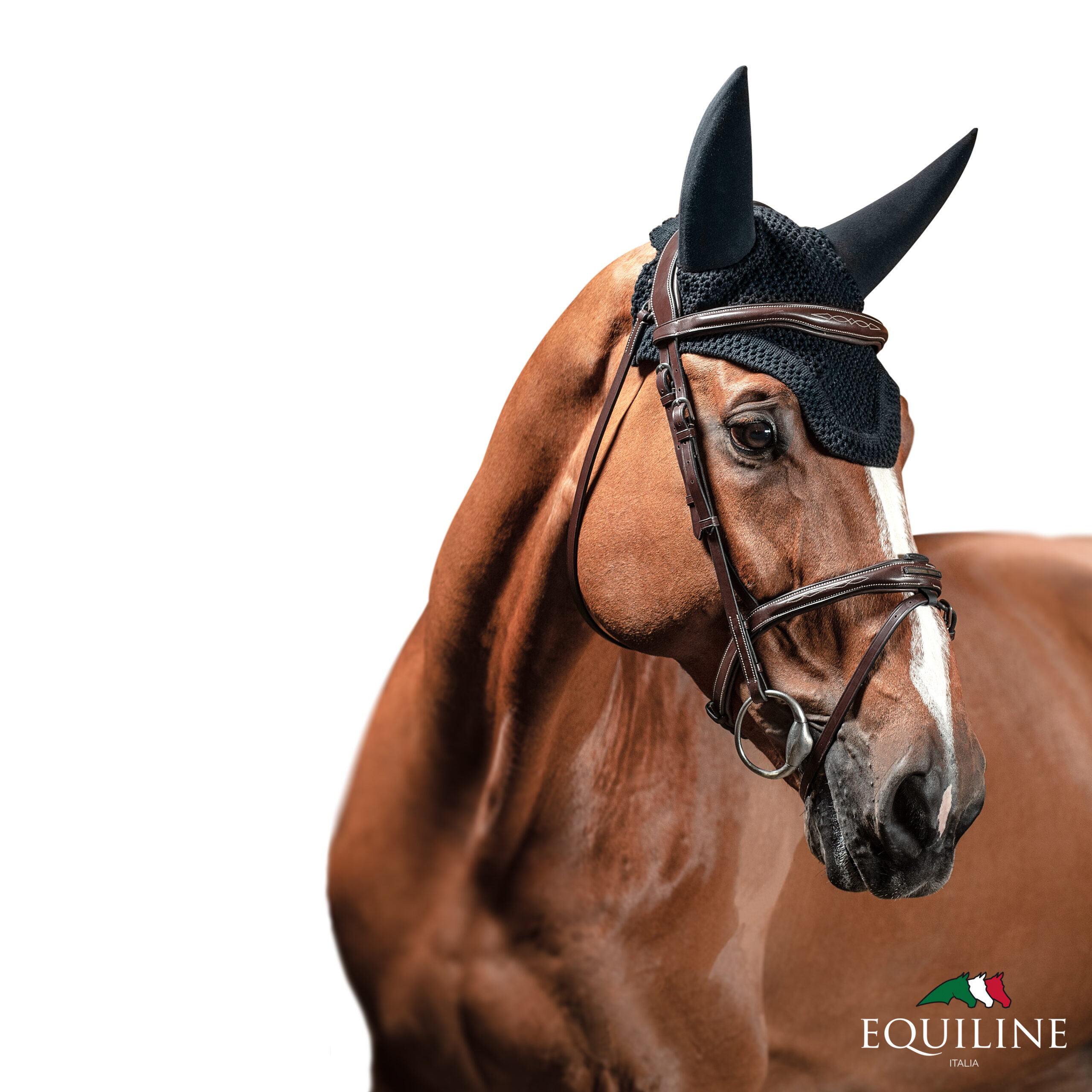 Equiline Ear Net Dell - Image 2
