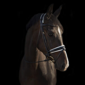 Utzon Equestrian Edinburgh Snaffle Bridle