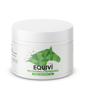 Equivi Recovery Gel