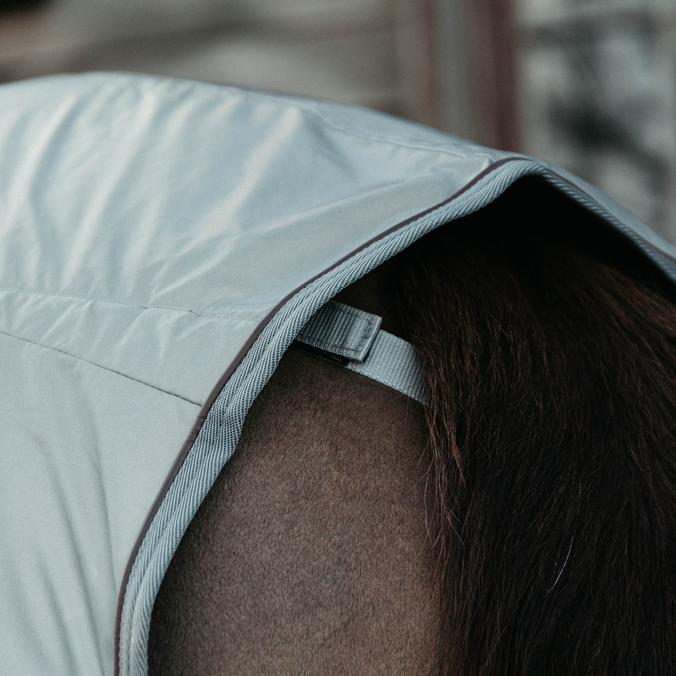 Kentucky Reflective Riding Rug - Image 3