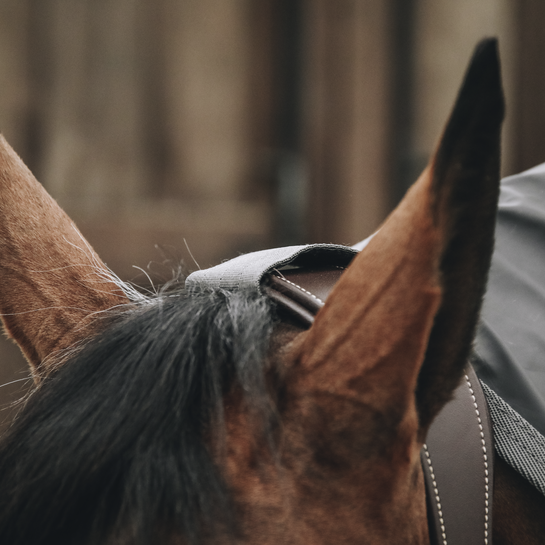 Kentucky Hurricane Horse Raincoat - Image 2