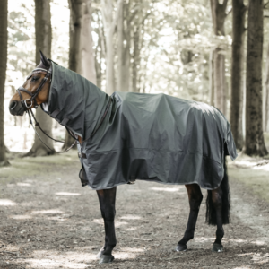 Kentucky Hurricane Horse Raincoat