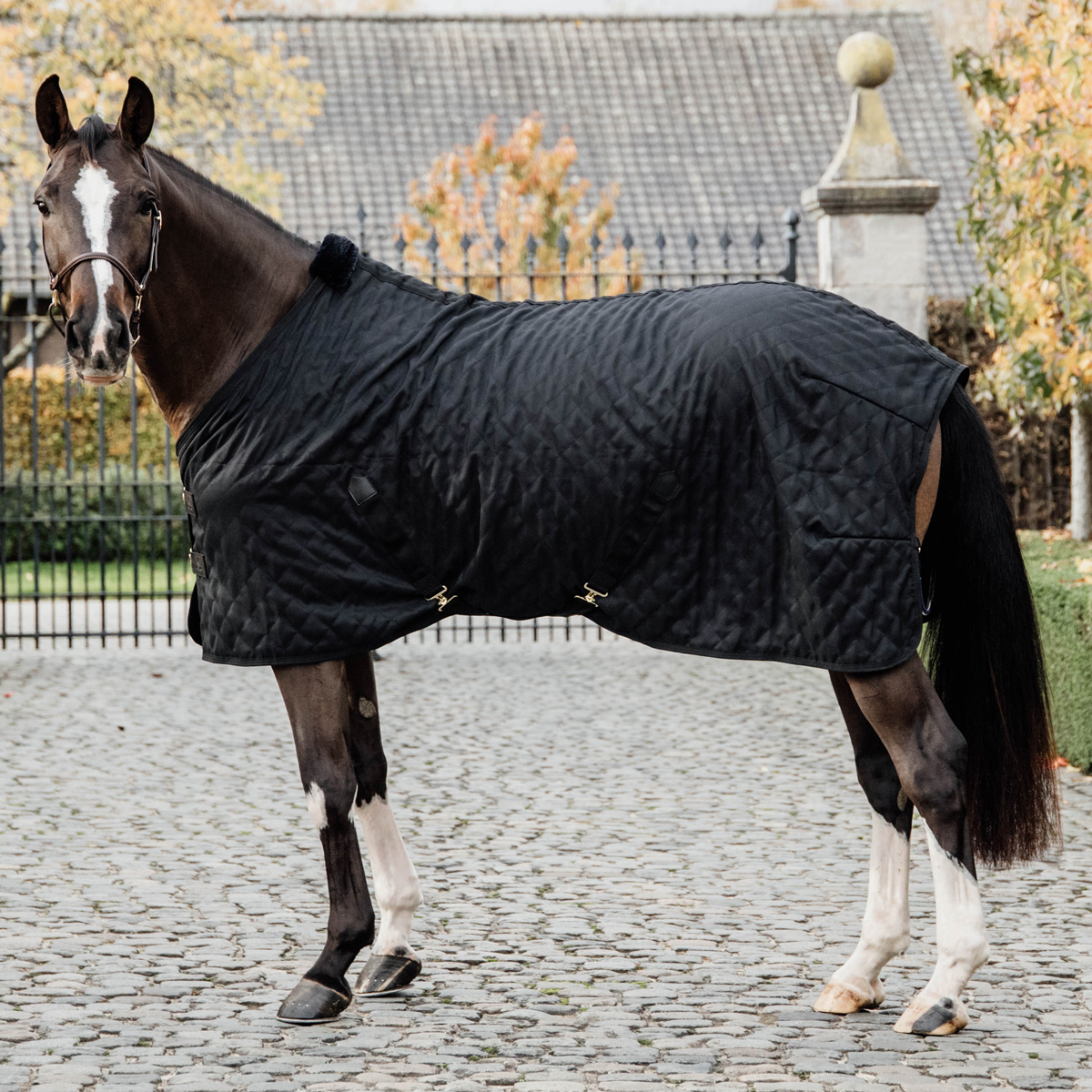 Kentucky Stable Rug 0g - Image 4