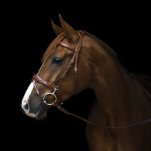 Utzon Equestrian Oxford Snaffle Bridle