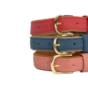 Kentucky Vegan Leather Dog Collar