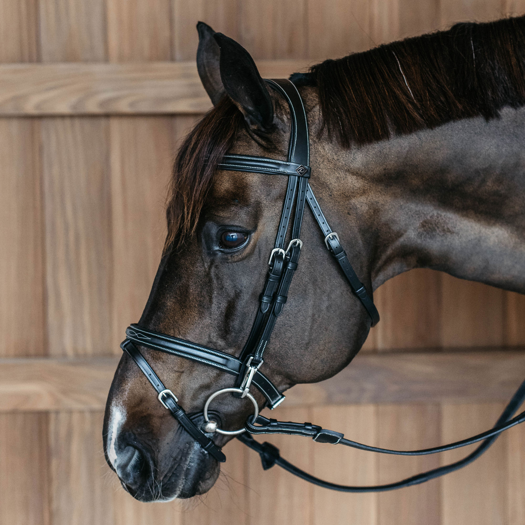 Dy'on Working Collection Flash Noseband Bridle with Snap Hooks - Image 2