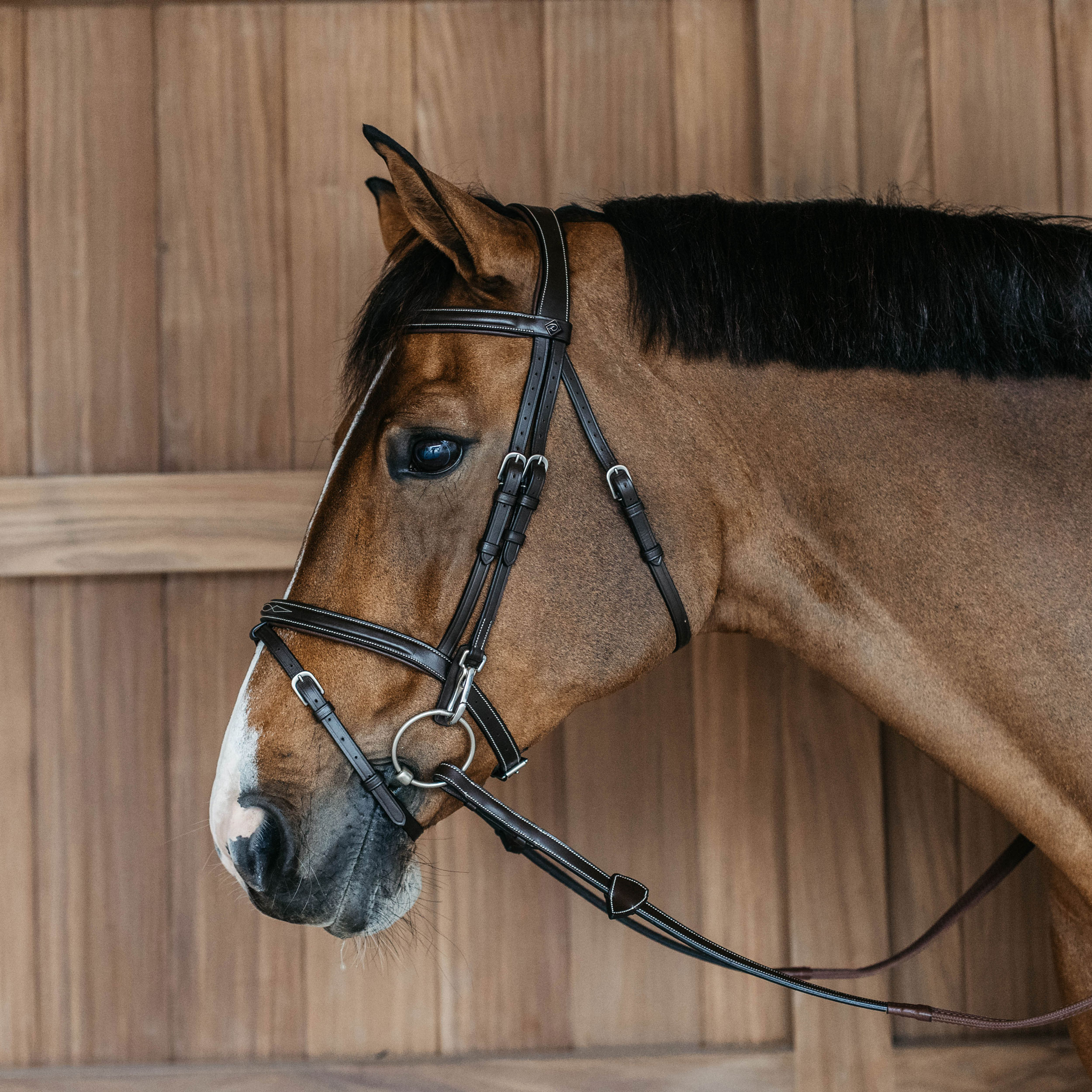 Dy'on Working Collection Flash Noseband Bridle with Snap Hooks