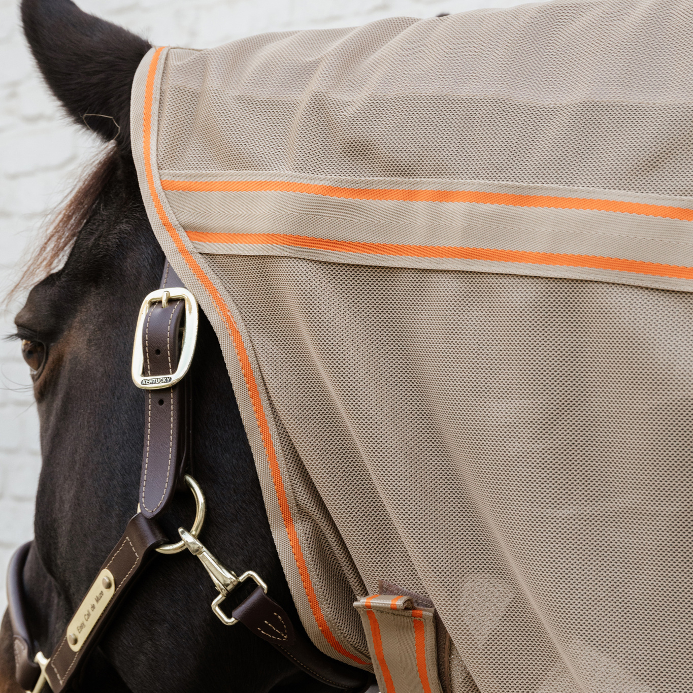 Kentucky Mesh Fly Rug Comfort - Image 3