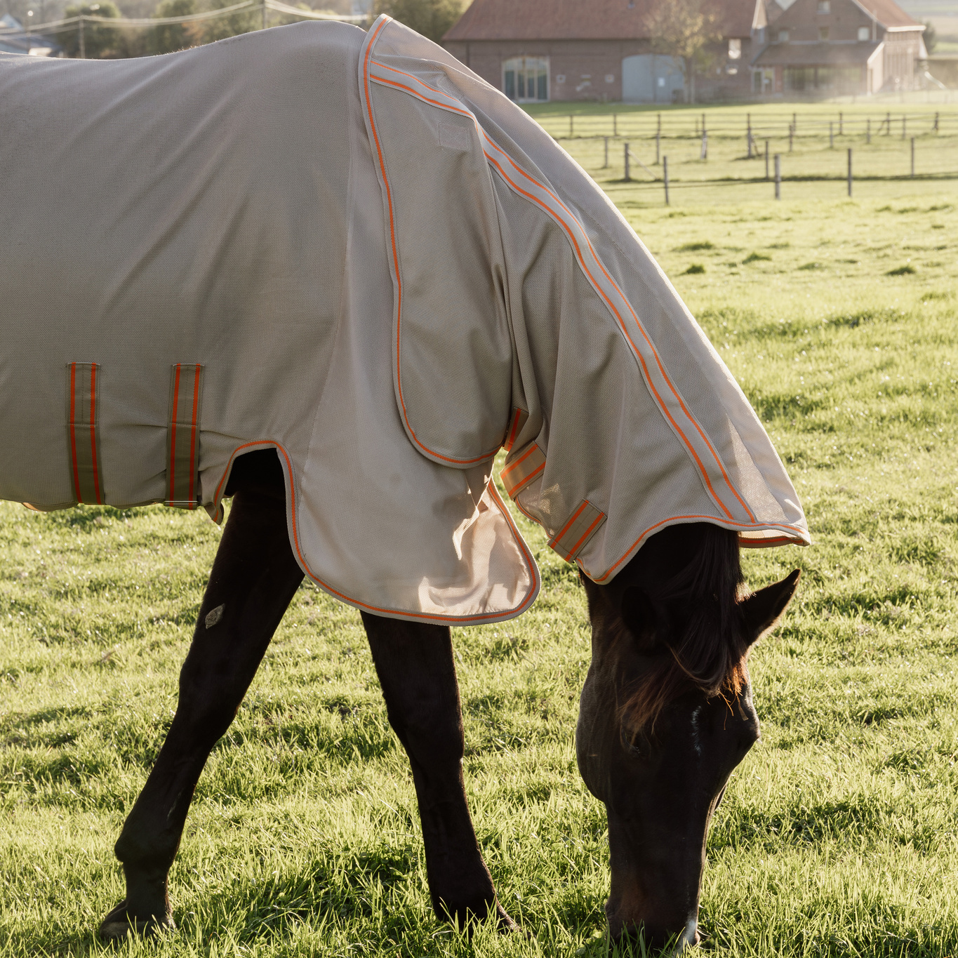 Kentucky Mesh Fly Rug Comfort - Image 4