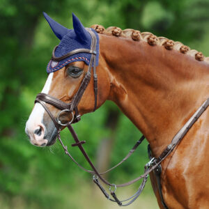 Passier Marcus Ehning II Snaffle Bridle with Rubber Reins