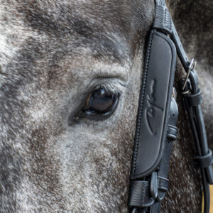 Dy'on Leather Blinkers