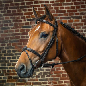 Dy'on D Collection Flash Noseband Bridle