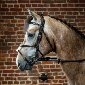 Dy'on D Collection Figure 8 Noseband Bridle