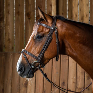 Dy'on Working Collection Flash Noseband Bridle